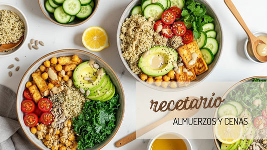 Recetario Almuerzos y Cenas